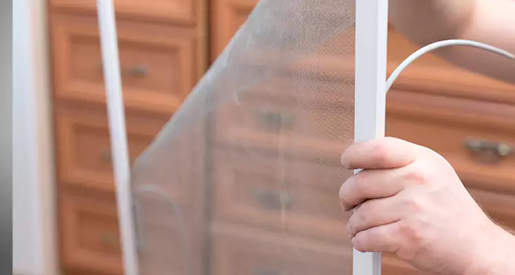 Privacy Mesh Screen Door Installation in Merritt Island, FL